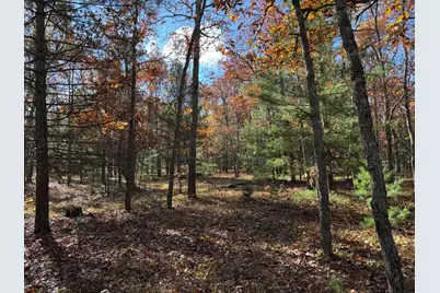 Parcel 6 County Line Road, Free Soil, MI 49411 - Photo 1