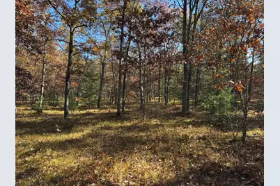 Parcel 7 County Line Road, Free Soil, MI 49411 - Photo 4