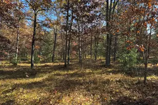 Parcel 7 County Line Rd, Free Soil, MI 49411 - Photo 4