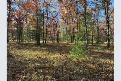 Parcel 8 County Line Road, Free Soil, MI 49411 - Photo 6