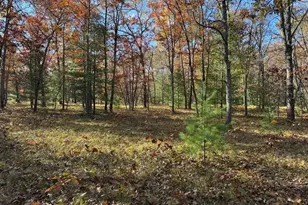 Parcel 8 County Line Rd, Free Soil, MI 49411 - Photo 6