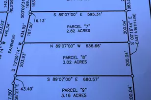 Parcel 8 County Line Rd, Free Soil, MI 49411 - Photo 2