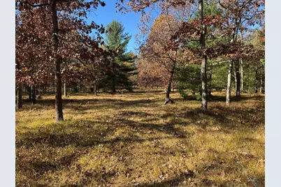 Parcel 8 County Line Road, Free Soil, MI 49411 - Photo 1