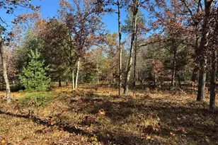 Parcel 9 County Line Rd, Free Soil, MI 49411 - Photo 4