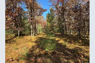 Parcel 11 County Line Road, Free Soil, MI 49411 - Photo 4