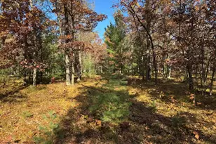 Parcel 11 County Line Rd, Free Soil, MI 49411 - Photo 4