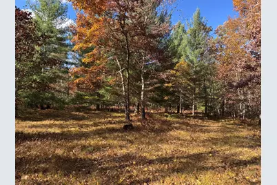Parcel 12 County Line Road, Free Soil, MI 49411 - Photo 1