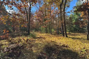 Parcel 12 County Line Rd, Free Soil, MI 49411 - Photo 4