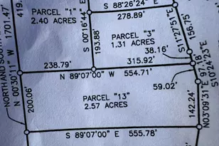 Parcel 13 County Line Rd, Free Soil, MI 49411 - Photo 2