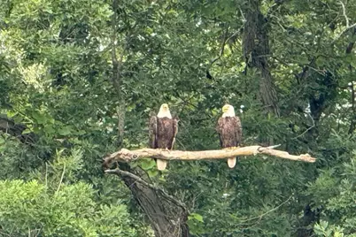 11159 W Perch Lake Drive W, Cement City, MI 49233 - Photo 84