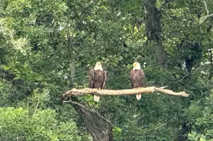 11159 W Perch Lake Dr W, Cement City, MI 49233 - Photo 84