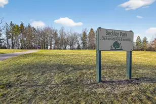 1621 Peach St, Ann Arbor, MI 48105 - Photo 54