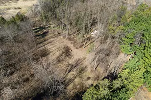 8600 Whippoorwill Ln, Manchester, MI 48158 - Photo 50