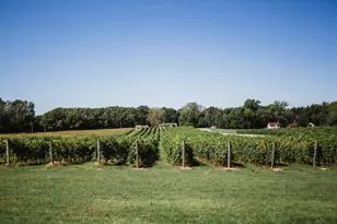 6629 N Branch Rd, Benton Harbor, MI 49022 - Photo 66