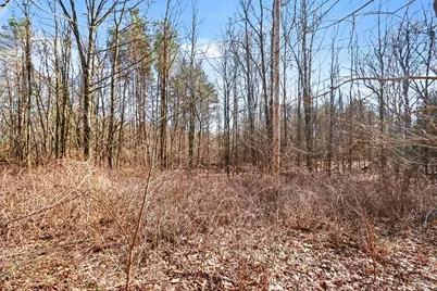 East C Avenue, Augusta, MI 49012 - Photo 4