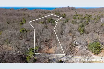 110 Park Street, Saugatuck, MI 49453 - Photo 2