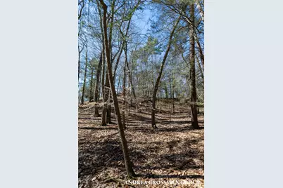 110 Park Street, Saugatuck, MI 49453 - Photo 22