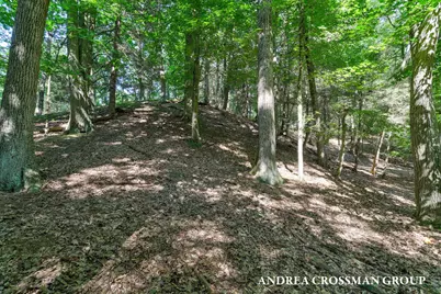 110 Park Street, Saugatuck, MI 49453 - Photo 8