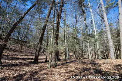 110 Park Street, Saugatuck, MI 49453 - Photo 20