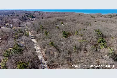 110 Park Street, Saugatuck, MI 49453 - Photo 6