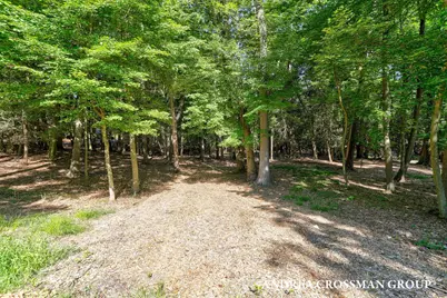 110 Park Street, Saugatuck, MI 49453 - Photo 4