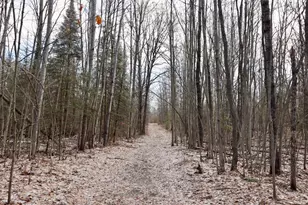 5717 Maple Ridge Rd, Sterling, MI 48659 - Photo 70