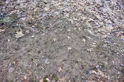 5717 Maple Ridge Road, Sterling, MI 48659 - Photo 80