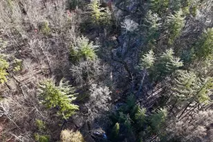 5717 Maple Ridge Rd, Sterling, MI 48659 - Photo 8