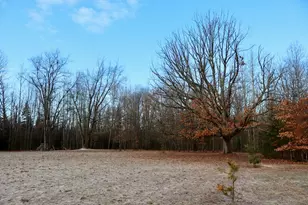 5717 Maple Ridge Rd, Sterling, MI 48659 - Photo 76