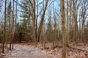 5717 Maple Ridge Rd, Sterling, MI 48659 - Photo 92