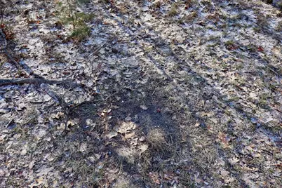 5717 Maple Ridge Road, Sterling, MI 48659 - Photo 84