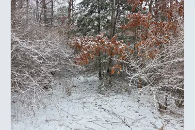 1138 N Thornapple Avenue, White Cloud, MI 49349 - Photo 2