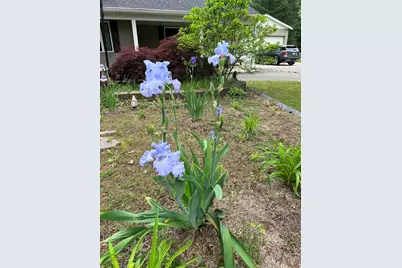 673 S Wolf Lake Road, Muskegon, MI 49442 - Photo 14