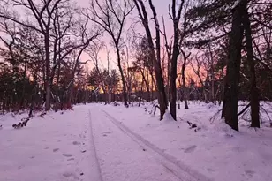 V/L 168th Ave, Hesperia, MI 49421 - Photo 1