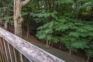 1442 W Tyler Rd, Hart, MI 49420 - Photo 68