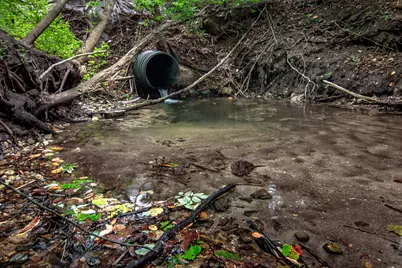 1442 W Tyler Road, Hart, MI 49420 - Photo 48