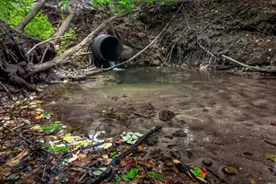 1442 W Tyler Rd, Hart, MI 49420 - Photo 48