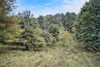 V/L Collier Ave Avenue, Battle Creek, MI 49017 - Photo 14