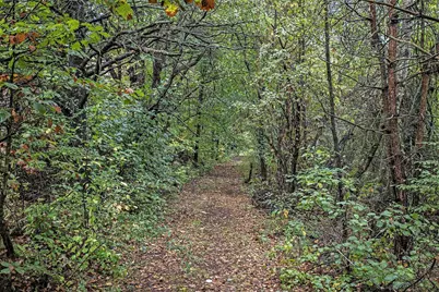 V/L Collier Ave Avenue, Battle Creek, MI 49017 - Photo 4