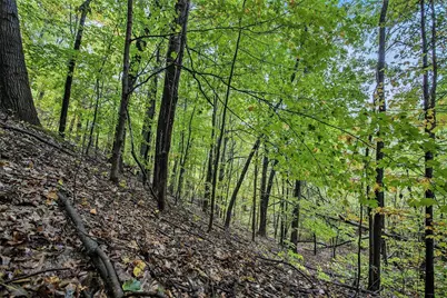 V/L Collier Ave Avenue, Battle Creek, MI 49017 - Photo 10