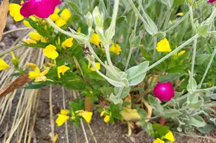 6246 S Brooklyn Rd, Jackson, MI 49201 - Photo 60