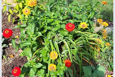 6246 S Brooklyn Road, Jackson, MI 49201 - Photo 60