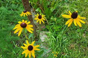 6246 S Brooklyn Rd, Jackson, MI 49201 - Photo 62