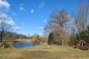 12500 11 Mile Rd, Ceresco, MI 49033 - Photo 16