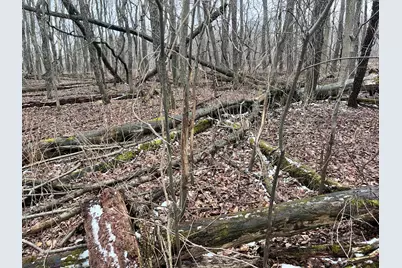 13048 Sullivan Road, Emmett, MI 48022 - Photo 26