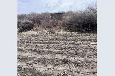 13048 Sullivan Road, Emmett, MI 48022 - Photo 18