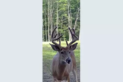 1398 12 Mile Road, Remus, MI 49340 - Photo 88