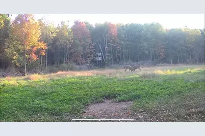 1398 12 Mile Road, Remus, MI 49340 - Photo 86