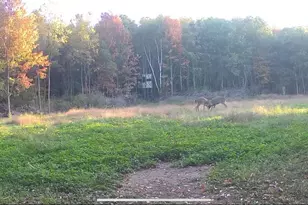 1398 12 Mile Rd, Remus, MI 49340 - Photo 86