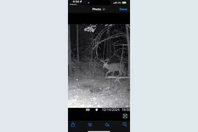 1398 12 Mile Road, Remus, MI 49340 - Photo 106